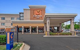Comfort Inn Detroit Downtown